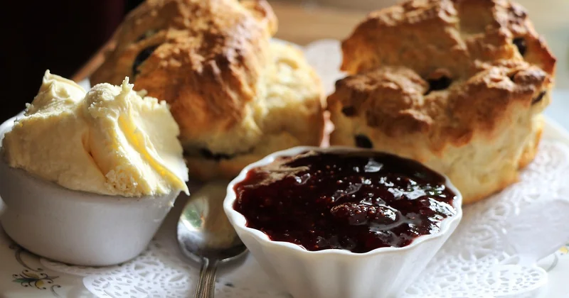 Clotted cream Rezept: das Original, und die schnelle Variante, die funktioniert