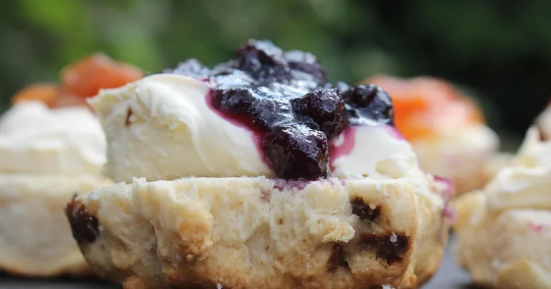 Clotted cream wofür? Mehr als Scones und Erdbeeren