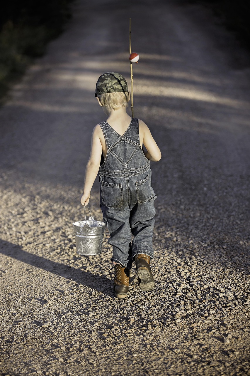 boy, child, fishing rod, bucket, fishing, fisherman, kid, young, small, nature, childhood, walking, summer, adventure, lifestyle, outdoors, back view